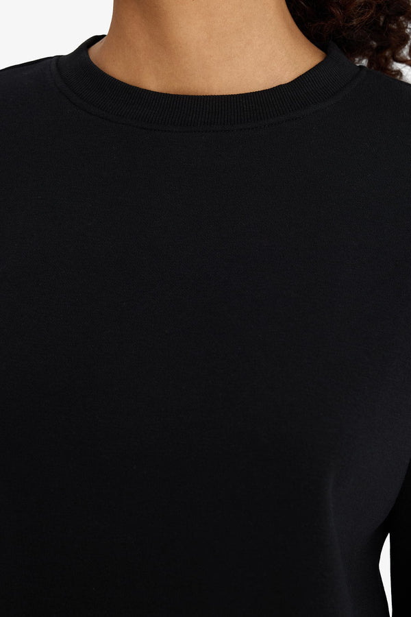 Relax Fit Crew Neck Basic Thick Sweatshirt