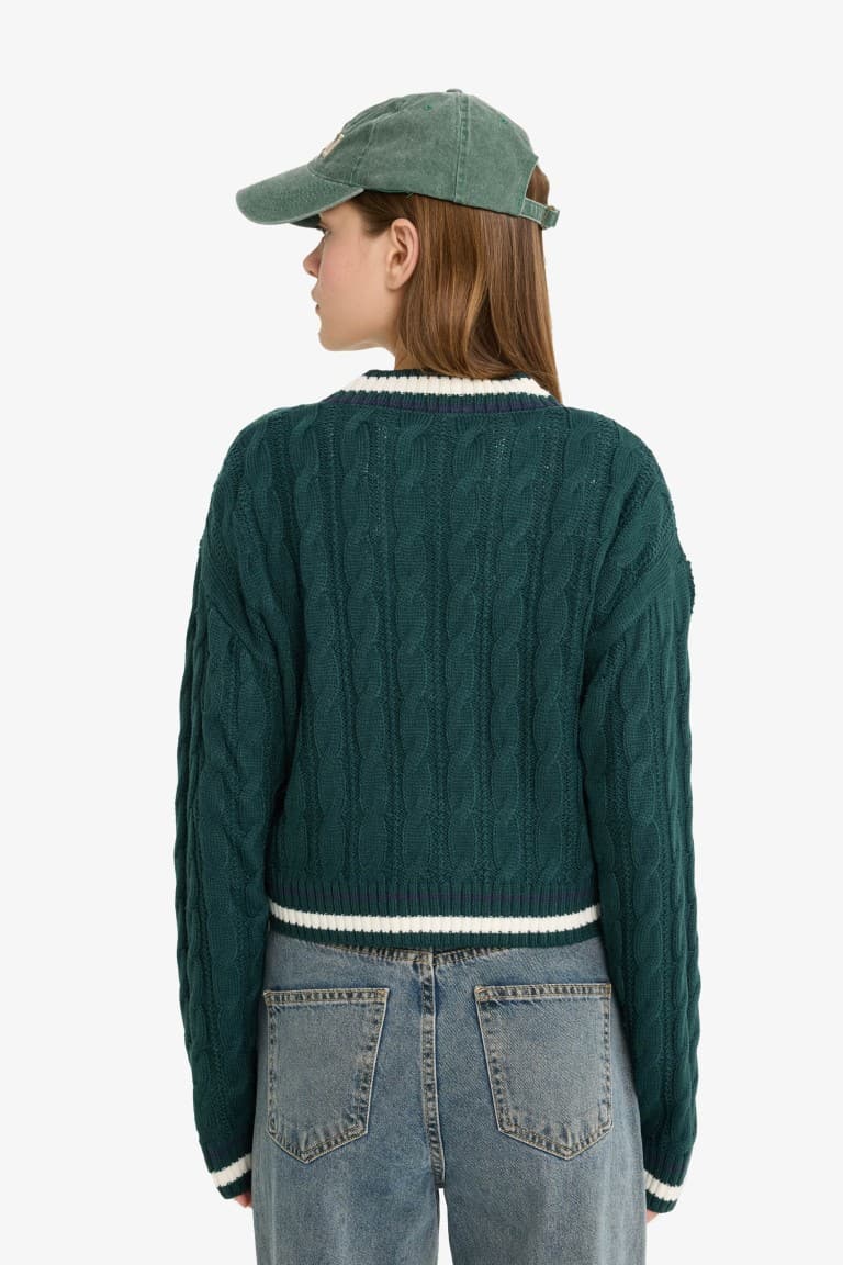 Regular Fit V-Neck Cable Knit Sweater