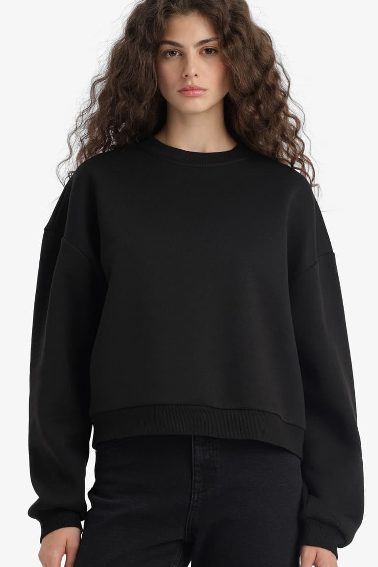 Regular Fit Crew Neck Thick Basic Plain Sweatshirt Main image