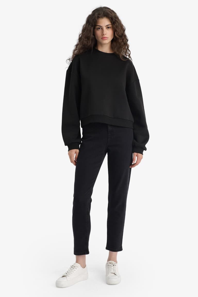 Regular Fit Crew Neck Thick Basic Plain Sweatshirt Secondary image