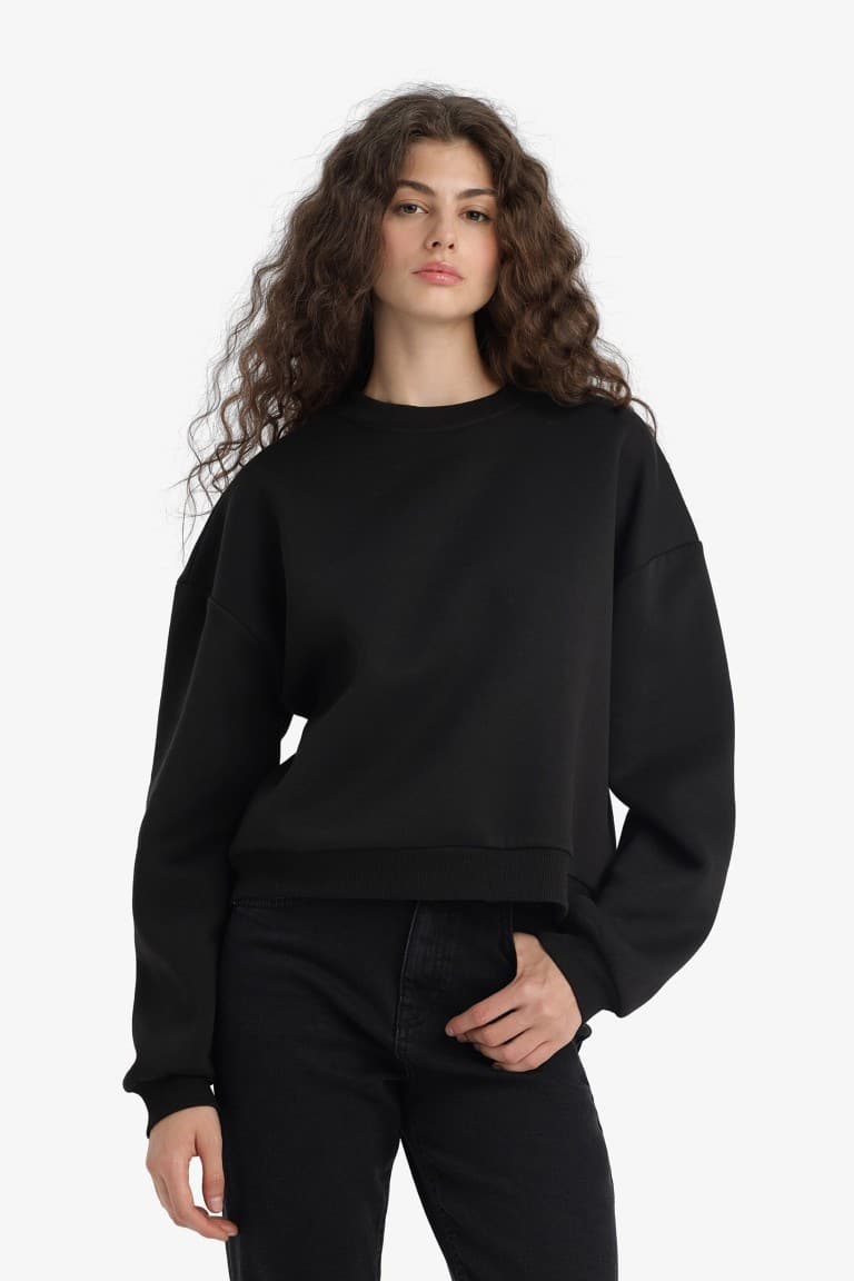 Regular Fit Crew Neck Thick Basic Plain Sweatshirt