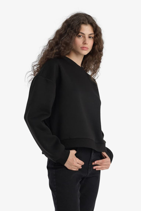 Regular Fit Crew Neck Thick Basic Plain Sweatshirt