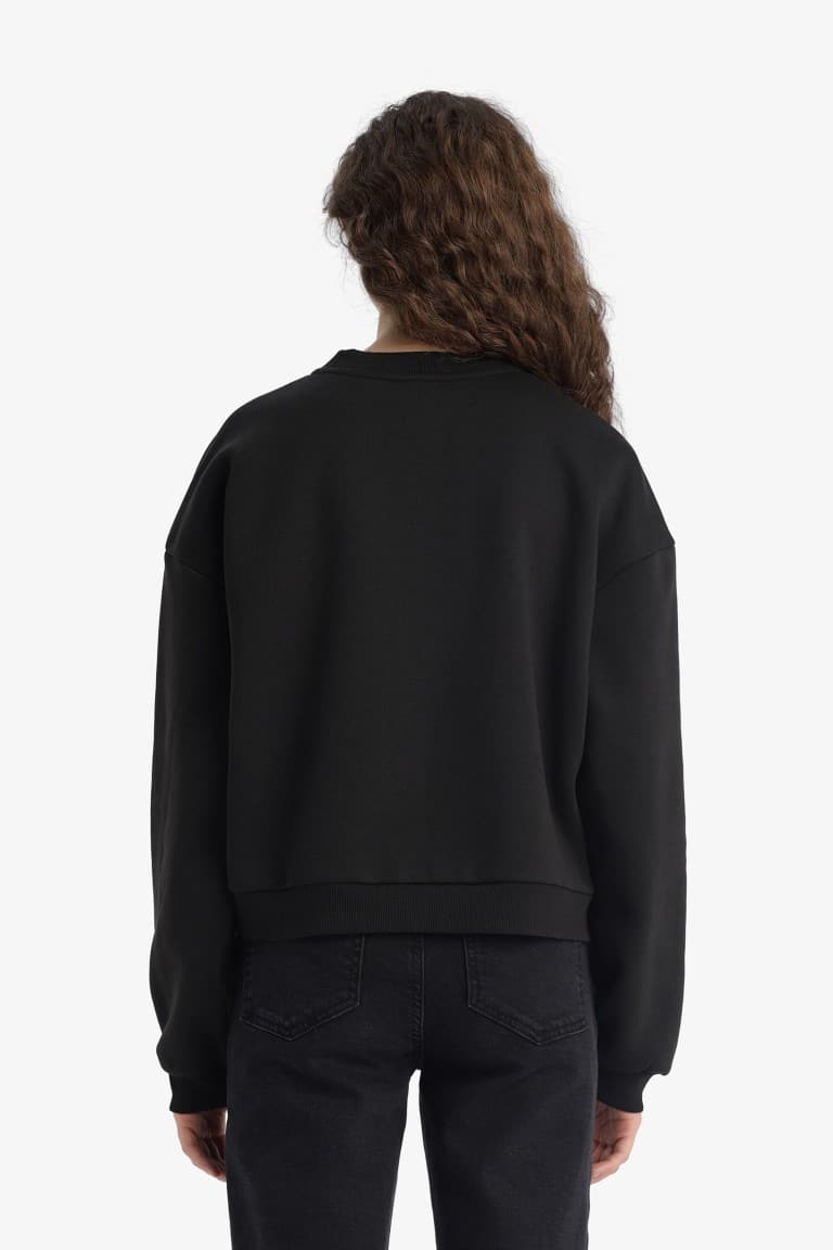 Regular Fit Crew Neck Thick Basic Plain Sweatshirt