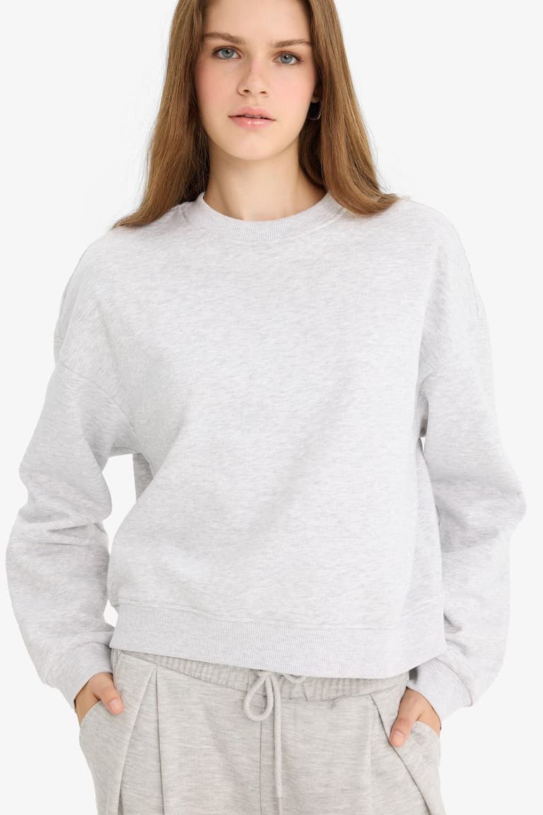 Regular Fit Crew Neck Thick Basic Plain Sweatshirt Main image