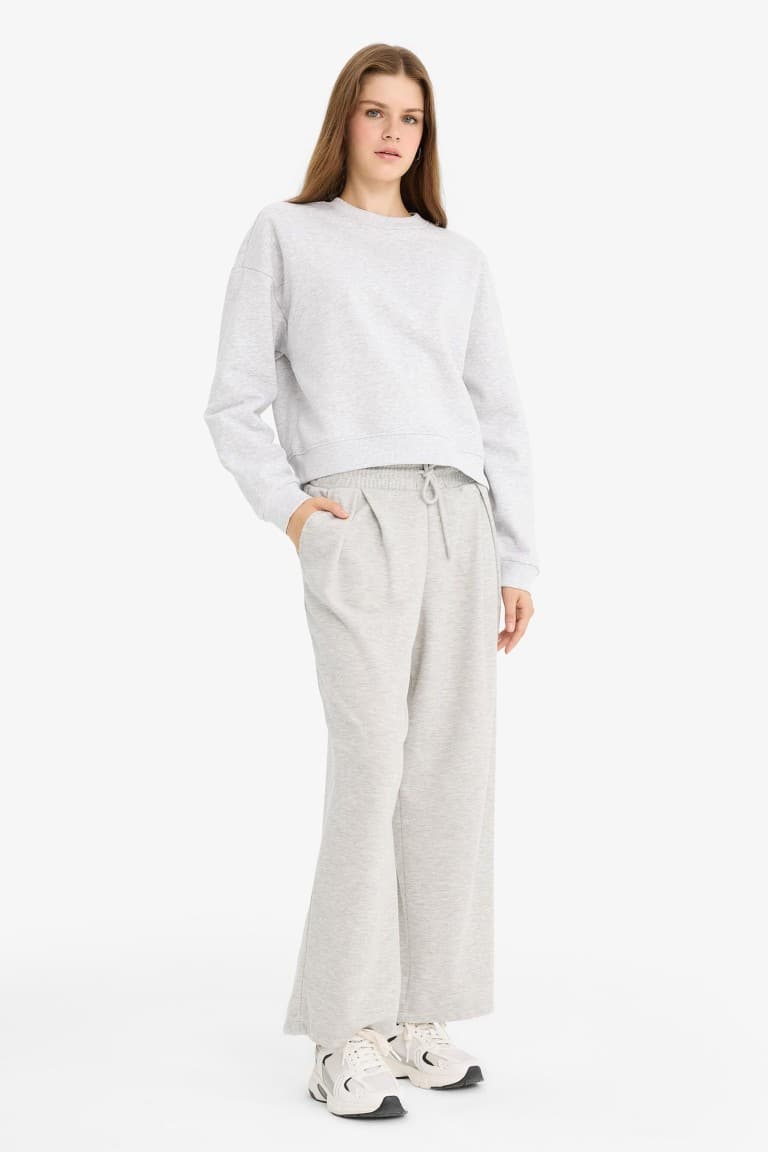 Regular Fit Crew Neck Thick Basic Plain Sweatshirt Secondary image