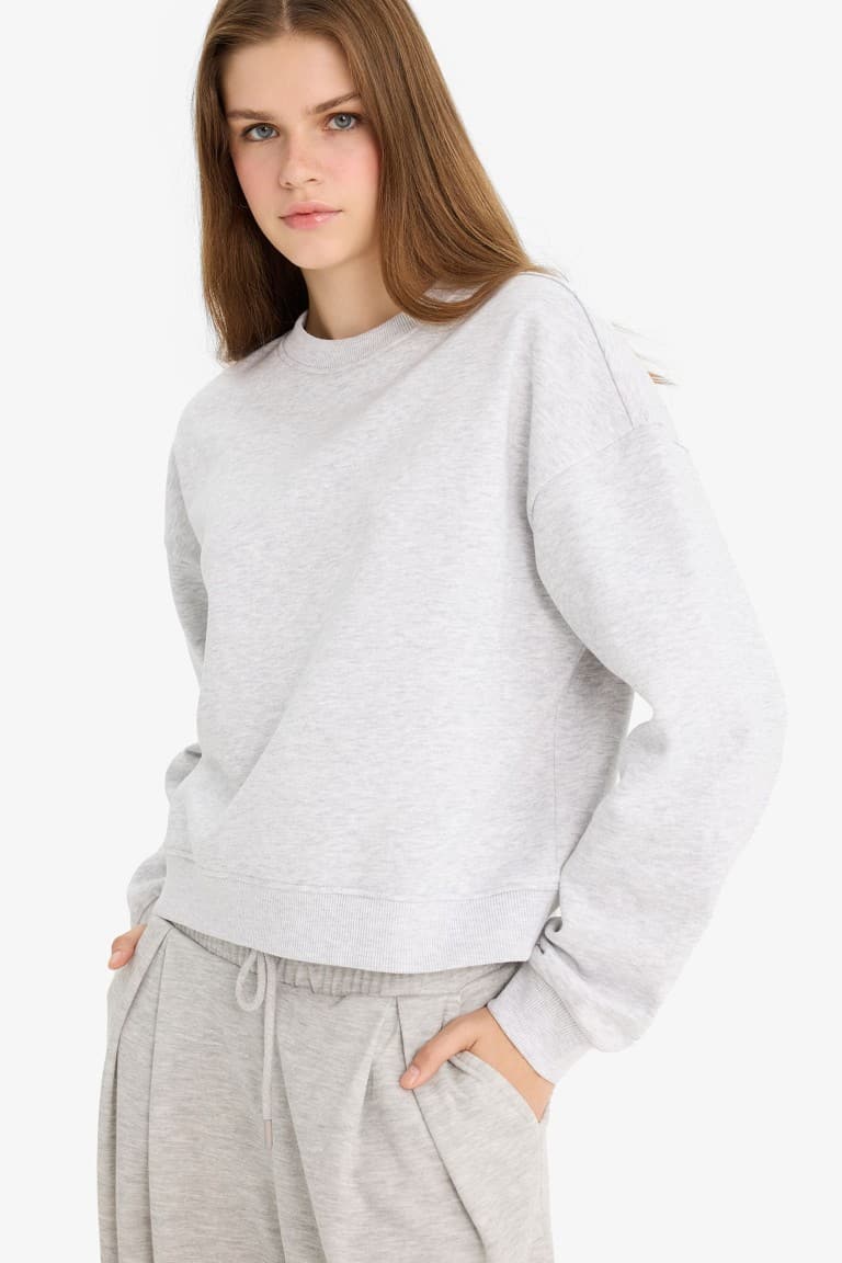 Regular Fit Crew Neck Thick Basic Plain Sweatshirt