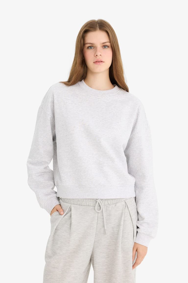 Regular Fit Crew Neck Thick Basic Plain Sweatshirt