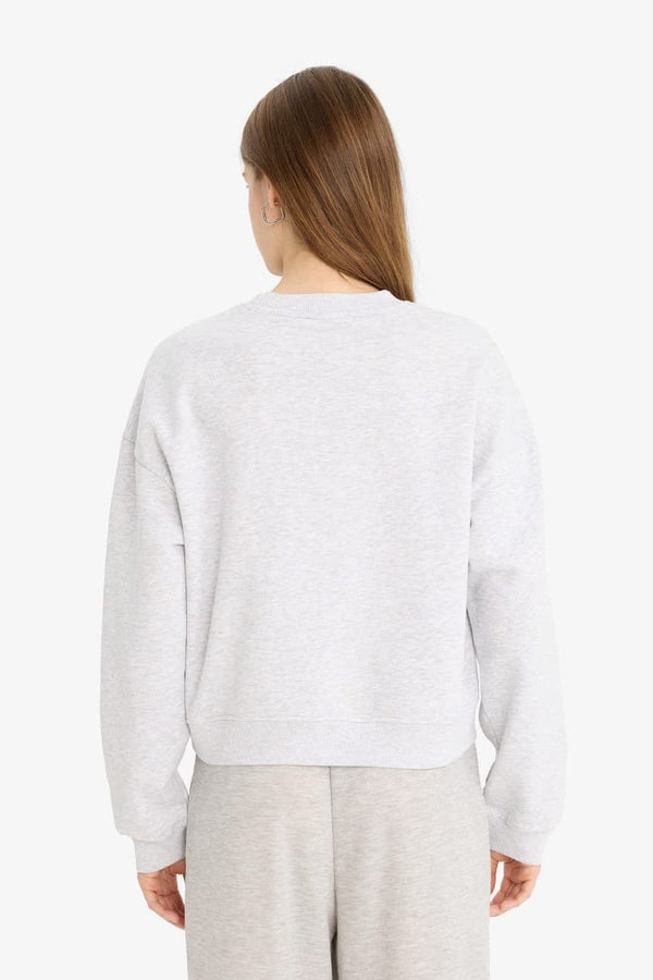 Regular Fit Crew Neck Thick Basic Plain Sweatshirt