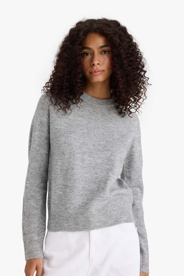 Regular Fit Crew Neck Basic Plain Soft Touch Knit Sweater