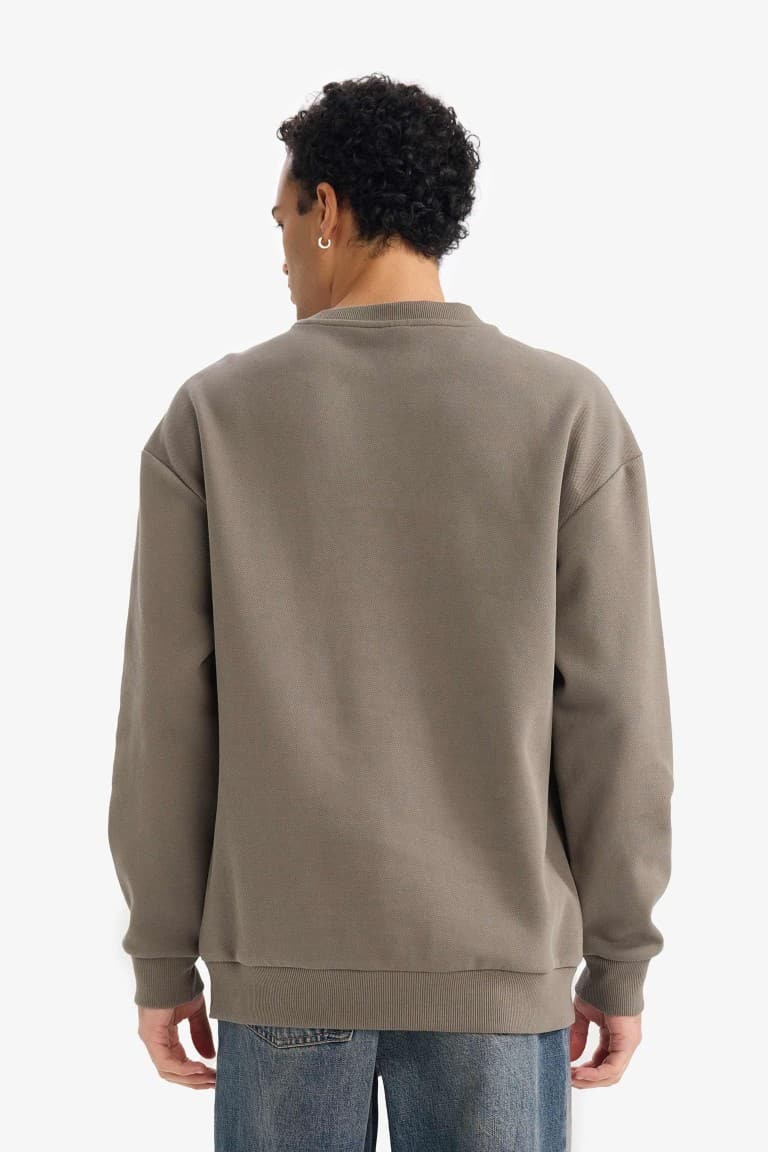 Boxy Fit Crew Neck Basic Plain Pique Sweatshirt