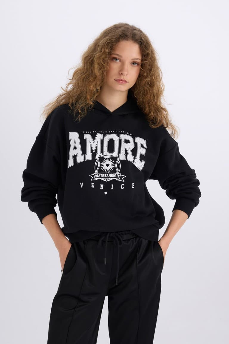 Loose Fit Hooded Printed Thick Sweatshirt Main image