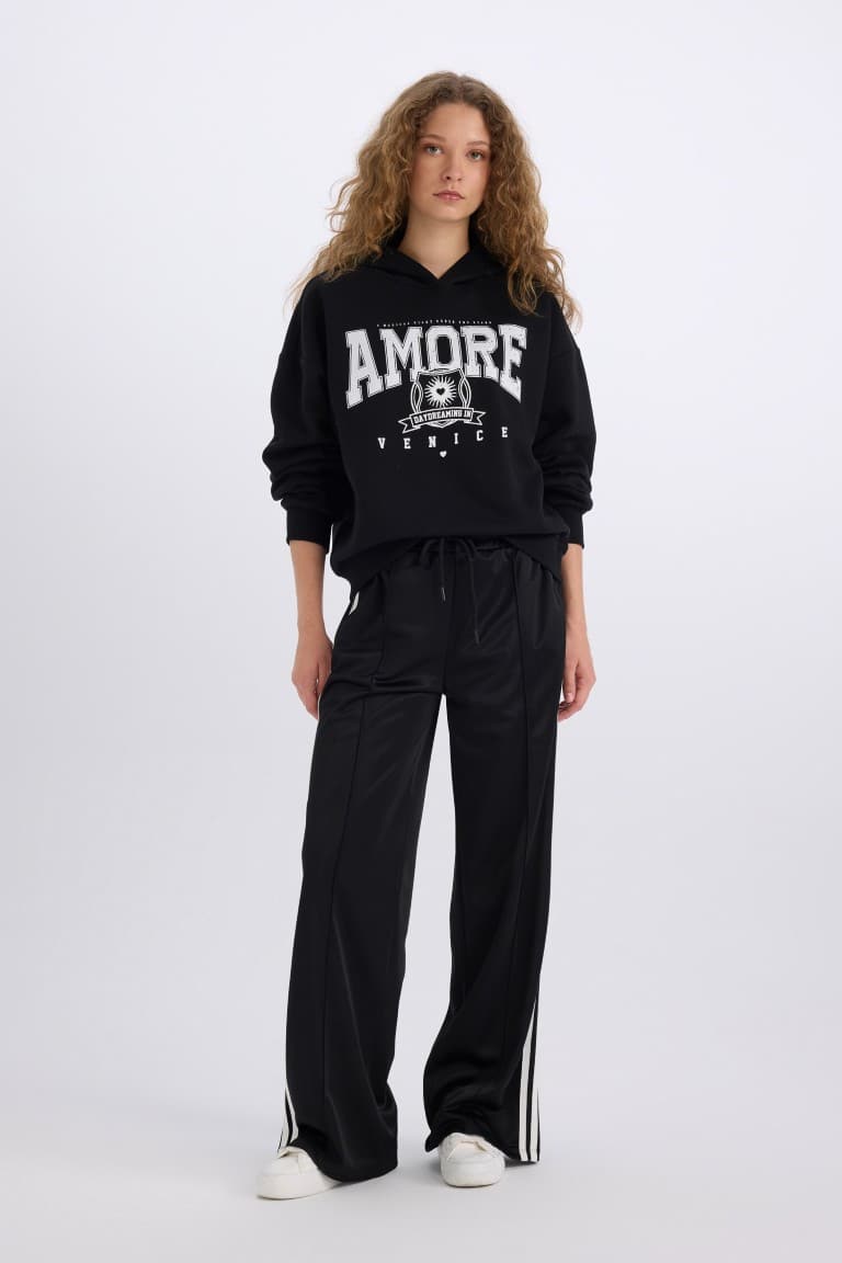 Loose Fit Hooded Printed Thick Sweatshirt