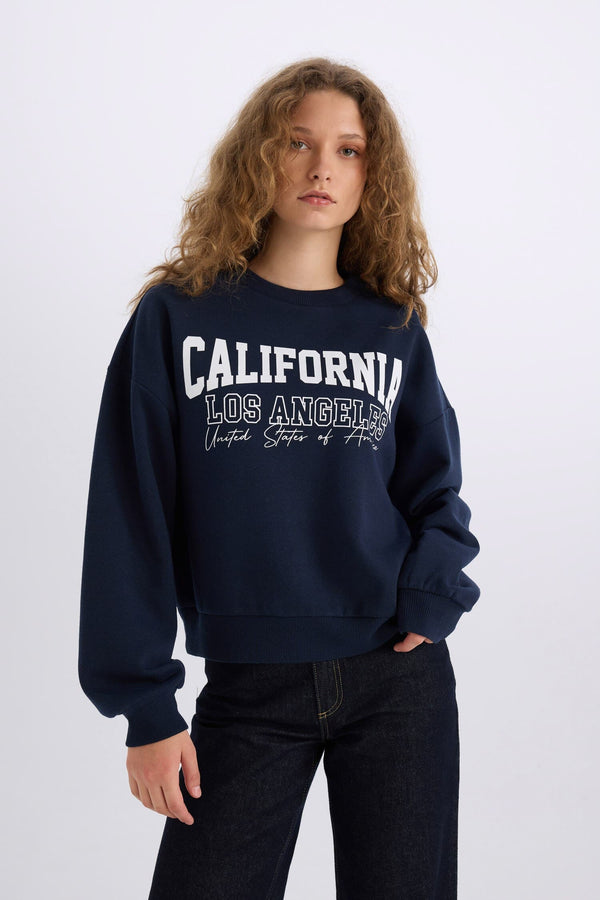 Loose Fit Crew Neck Printed Thick Sweatshirt