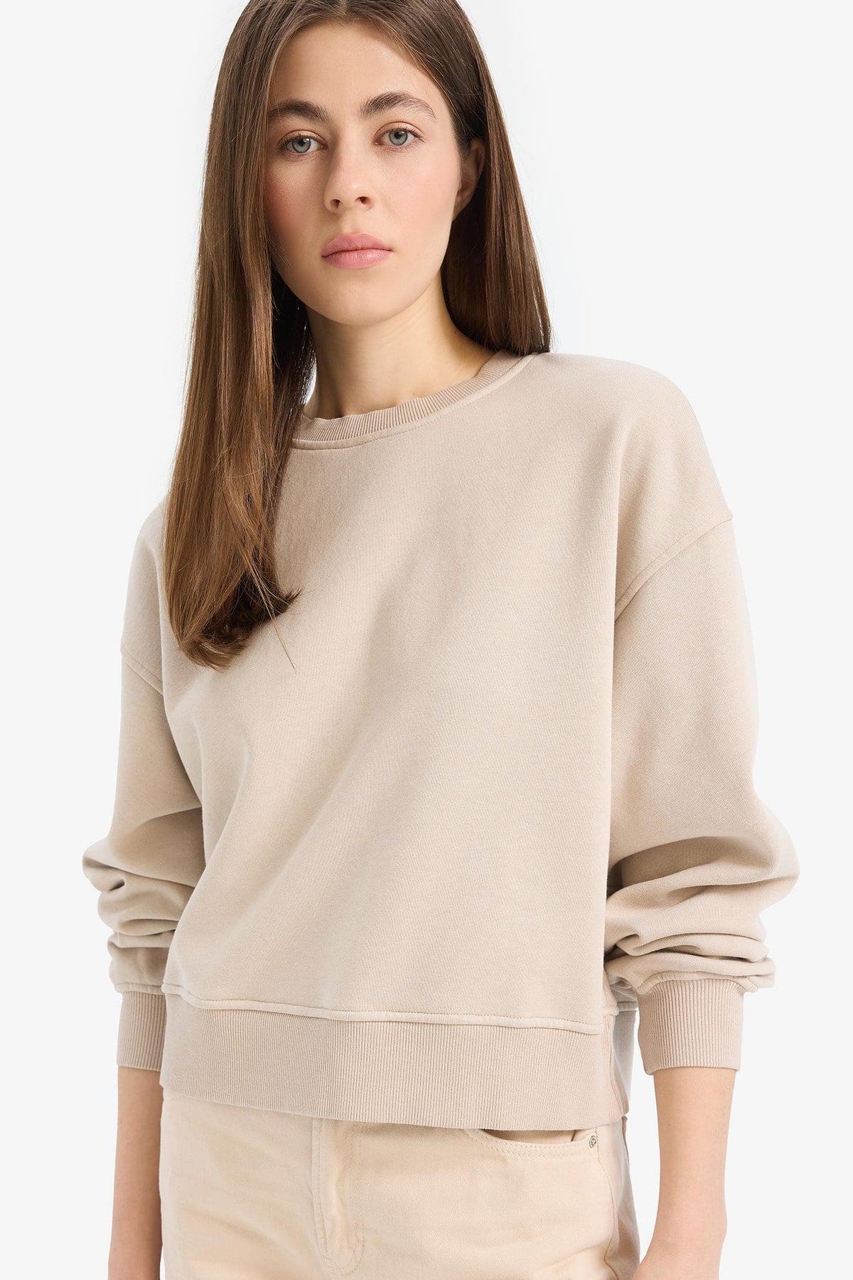 Boxy Fit Crew Neck Basic Plain Thick Sweatshirt Main image