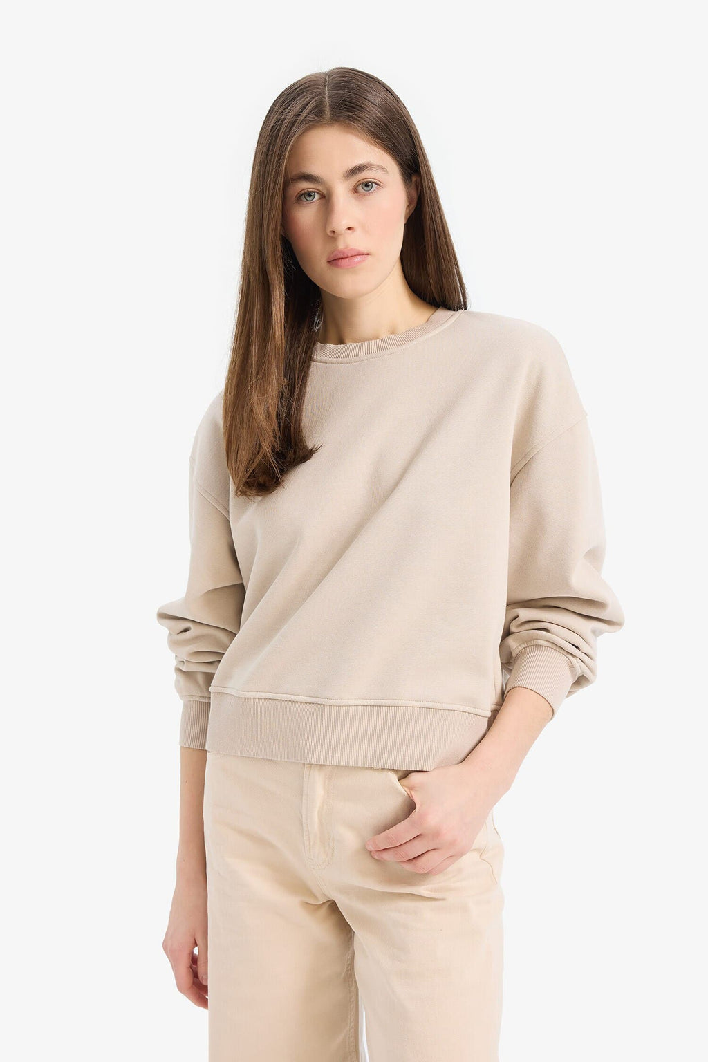 Boxy Fit Crew Neck Basic Plain Thick Sweatshirt
