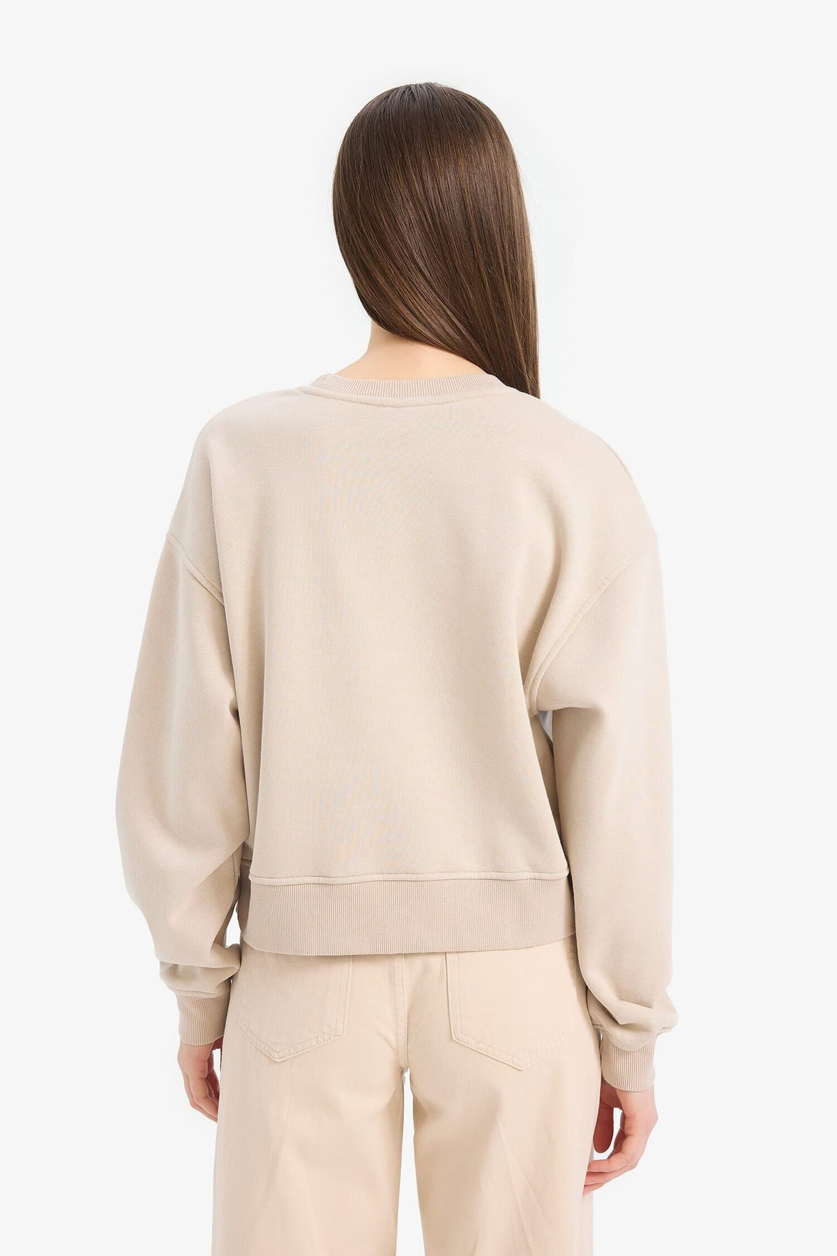 Boxy Fit Crew Neck Basic Plain Thick Sweatshirt