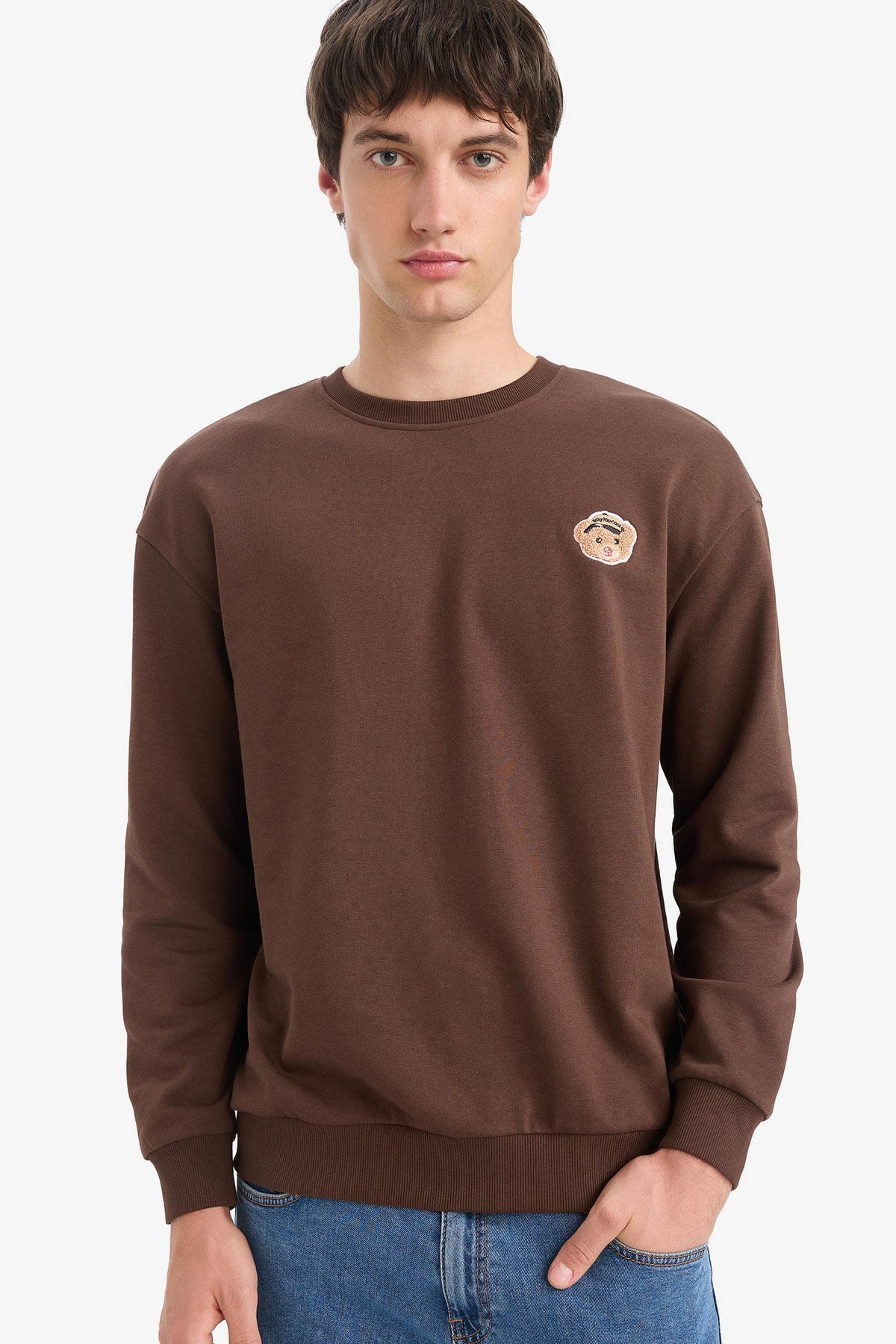 Boxy Fit Crew Neck Embroidered Sweatshirt