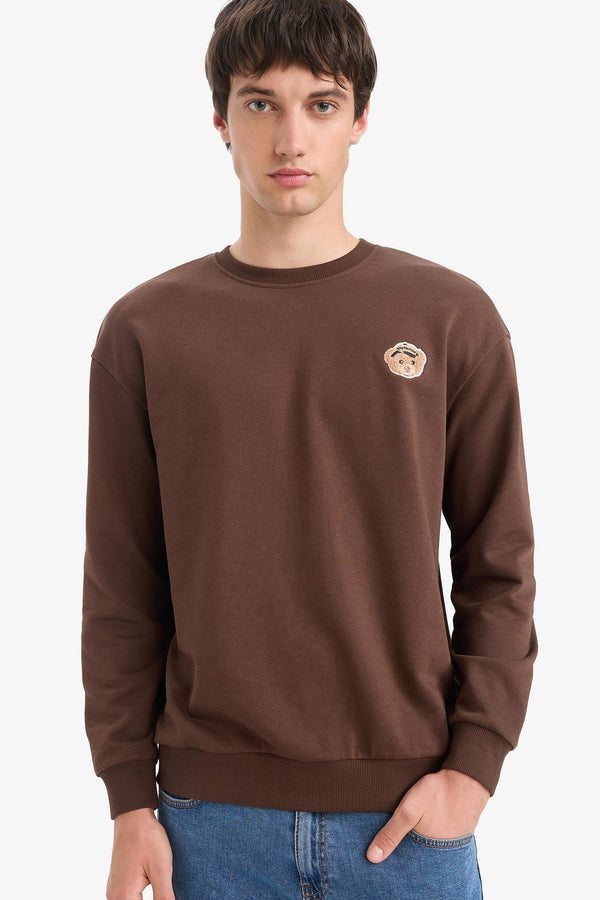 Boxy Fit Crew Neck Embroidered Sweatshirt