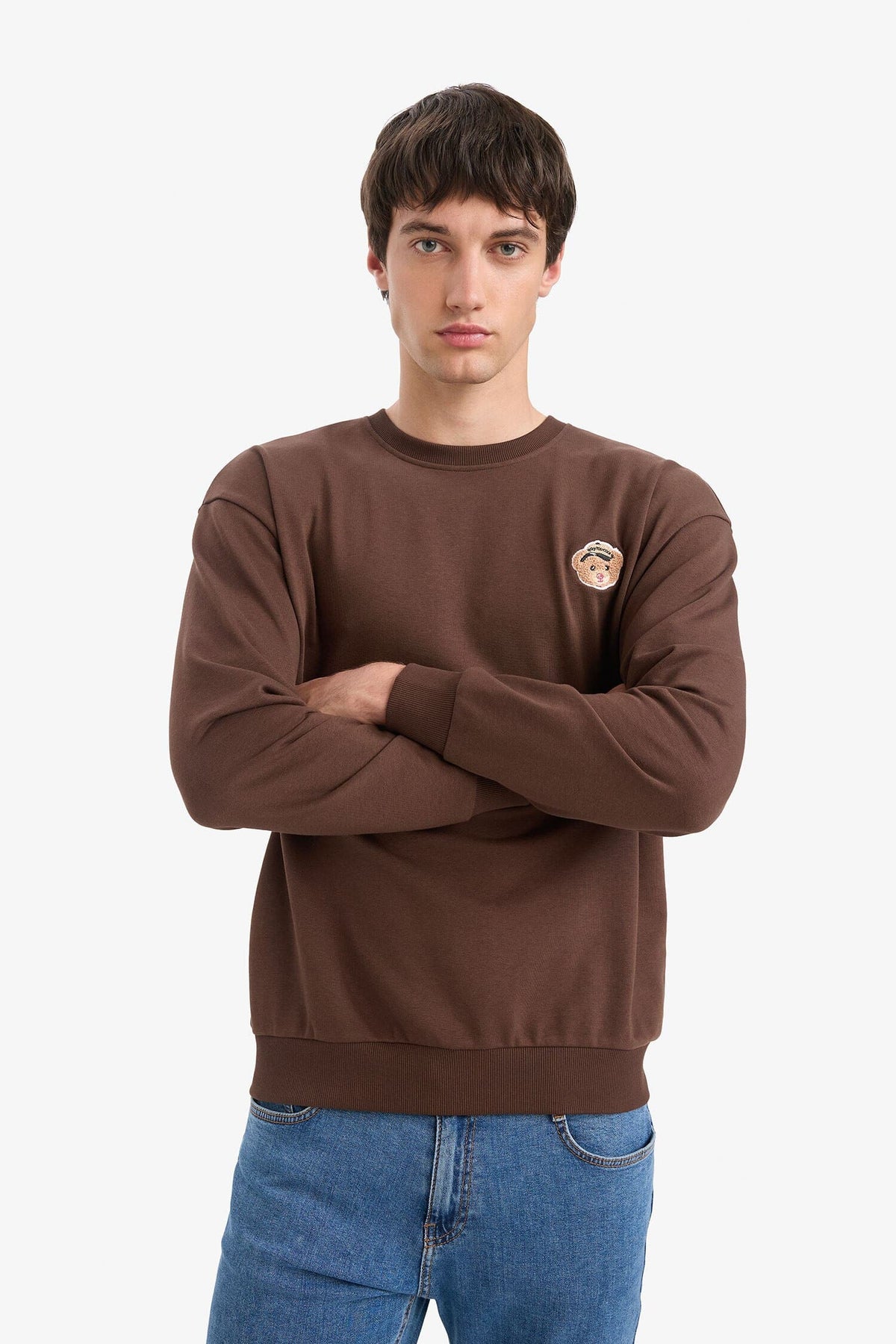 Boxy Fit Crew Neck Embroidered Sweatshirt