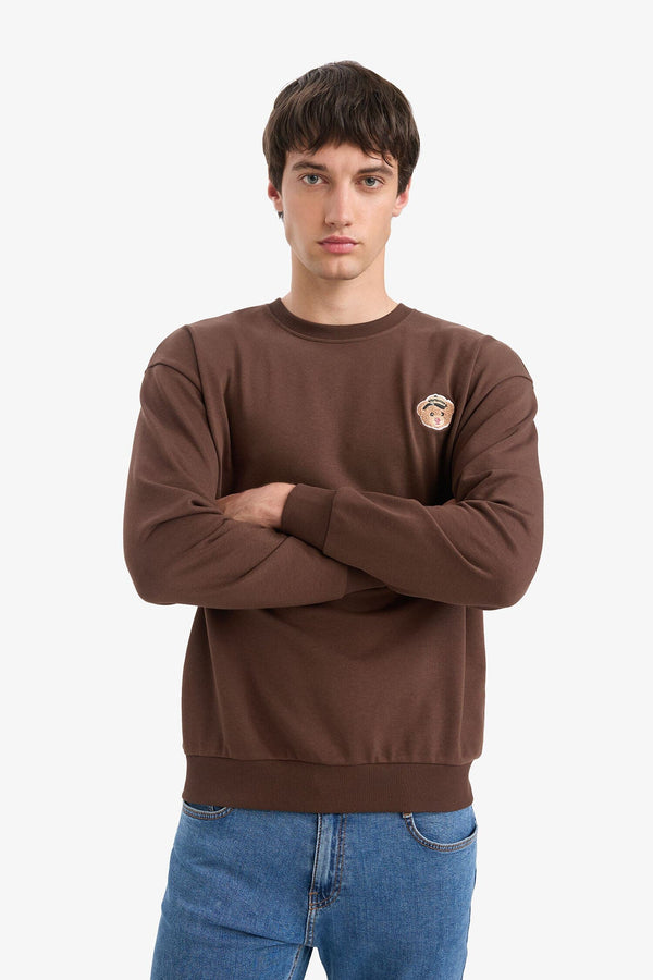 Boxy Fit Crew Neck Embroidered Sweatshirt