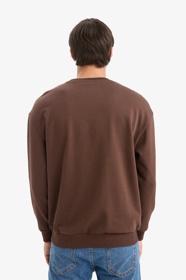 Boxy Fit Crew Neck Embroidered Sweatshirt