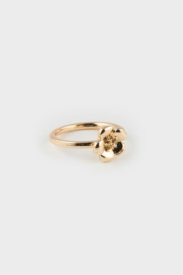 Women 5 Pack Gold Ring