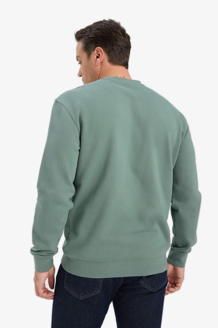 100% Cotton Regular Fit Crew Neck Sweatshirt