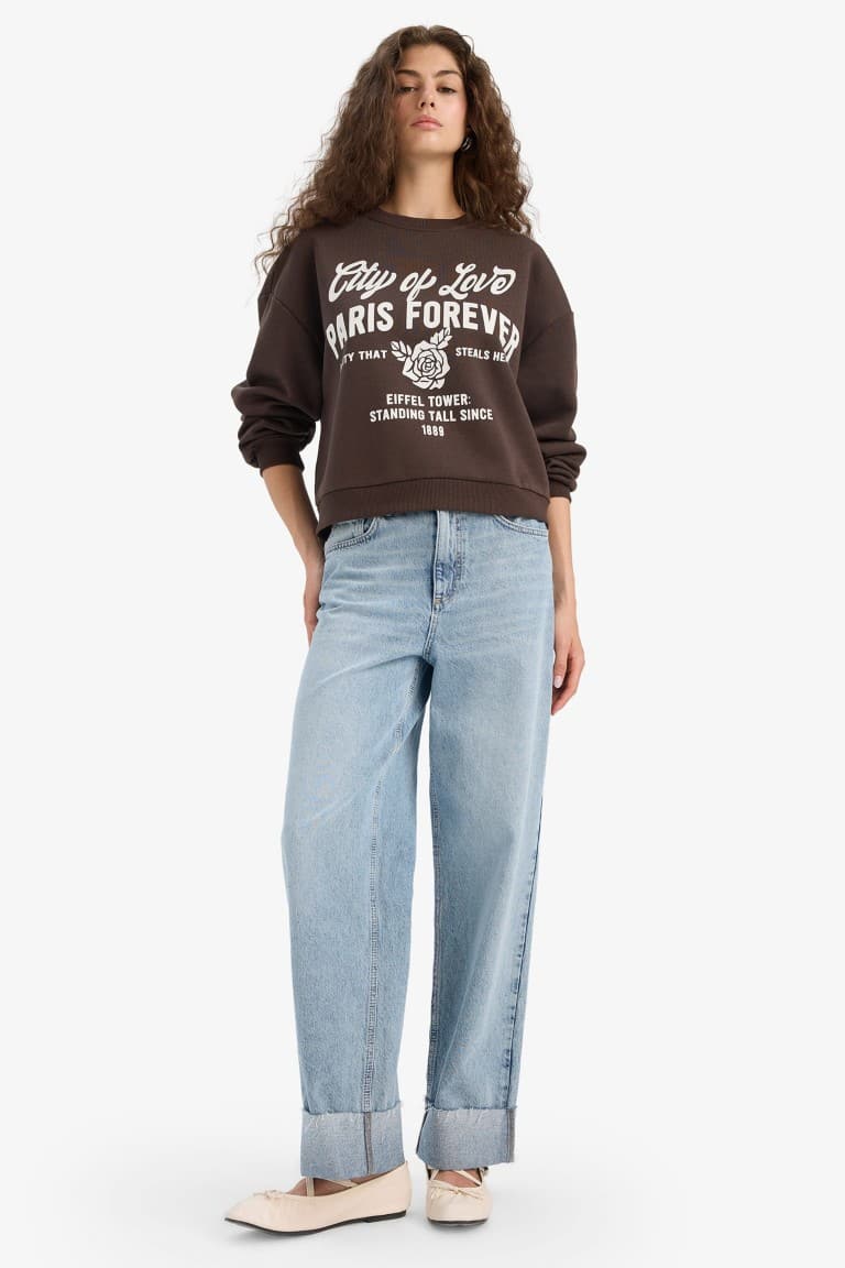 Regular Fit Crew Neck Printed Sweatshirt Secondary image
