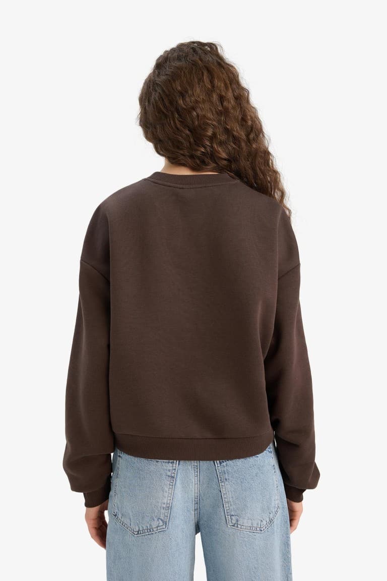 Regular Fit Crew Neck Printed Sweatshirt