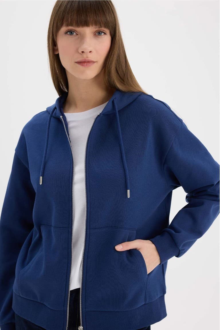 Relax Fit Hooded Basic Plain Thick Zippered Sweatshirt