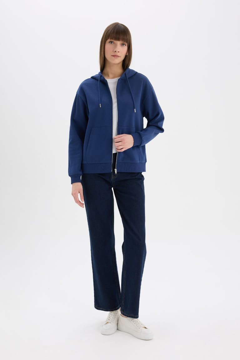 Relax Fit Hooded Basic Plain Thick Zippered Sweatshirt