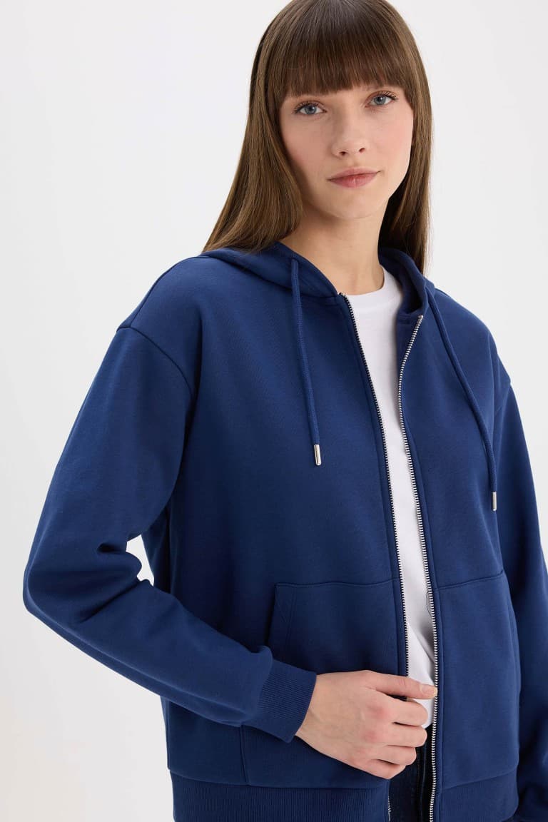 Relax Fit Hooded Basic Plain Thick Zippered Sweatshirt