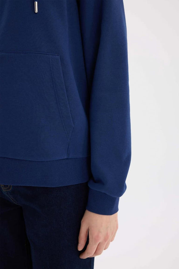 Relax Fit Hooded Basic Plain Thick Zippered Sweatshirt