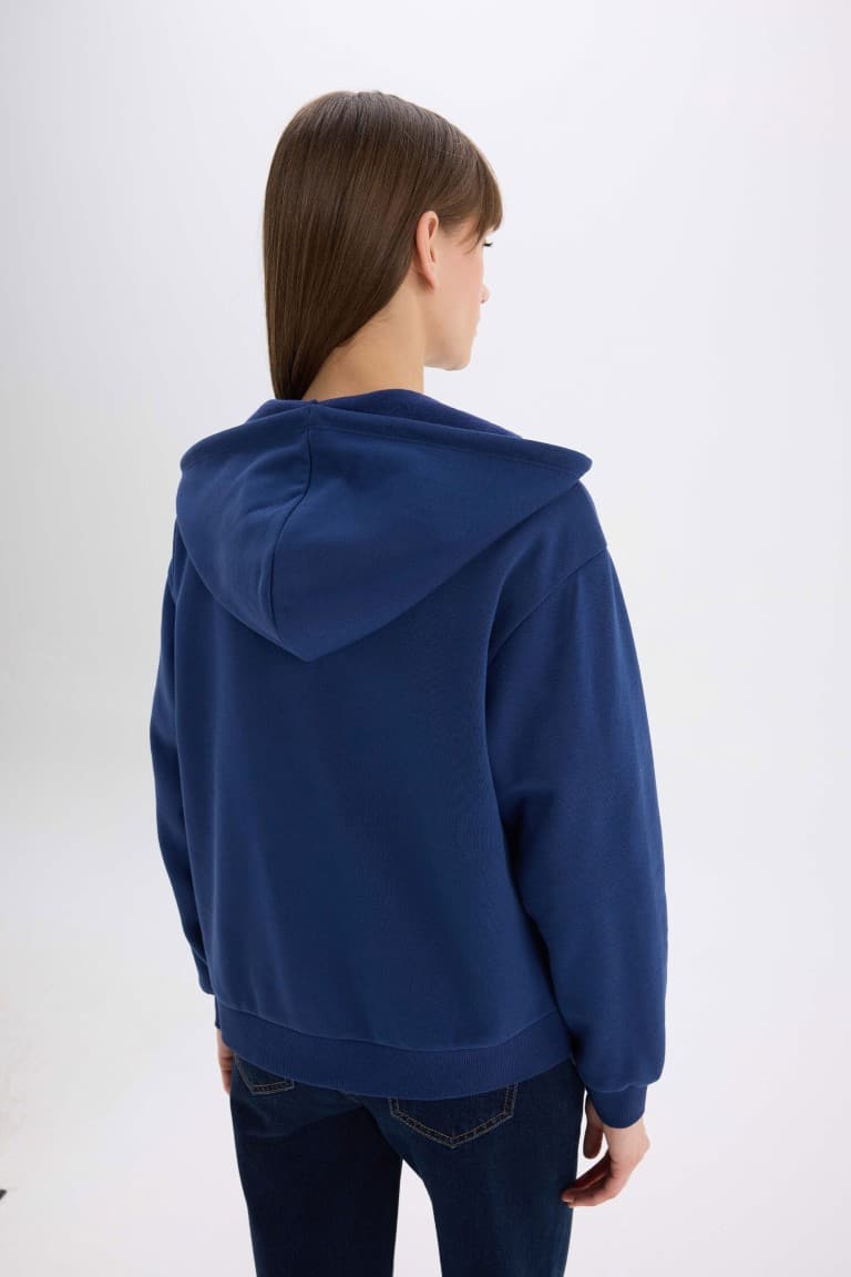 Relax Fit Hooded Basic Plain Thick Zippered Sweatshirt