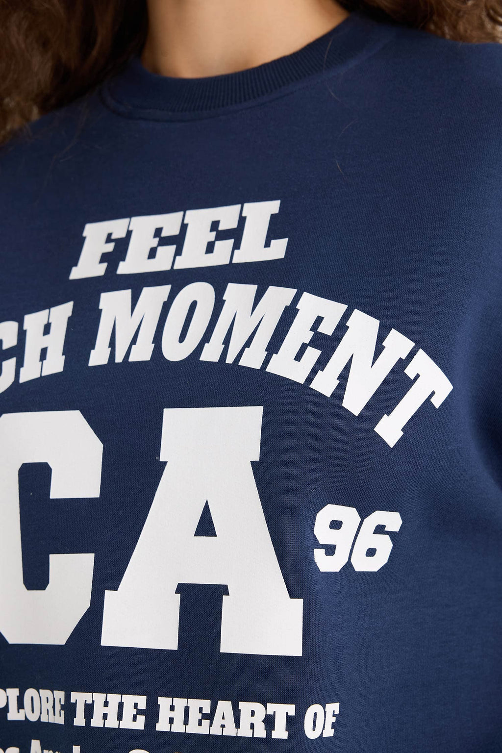 Regular Fit Crew Neck Printed Sweatshirt