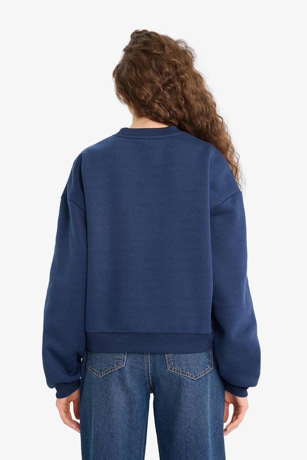 Regular Fit Crew Neck Printed Sweatshirt