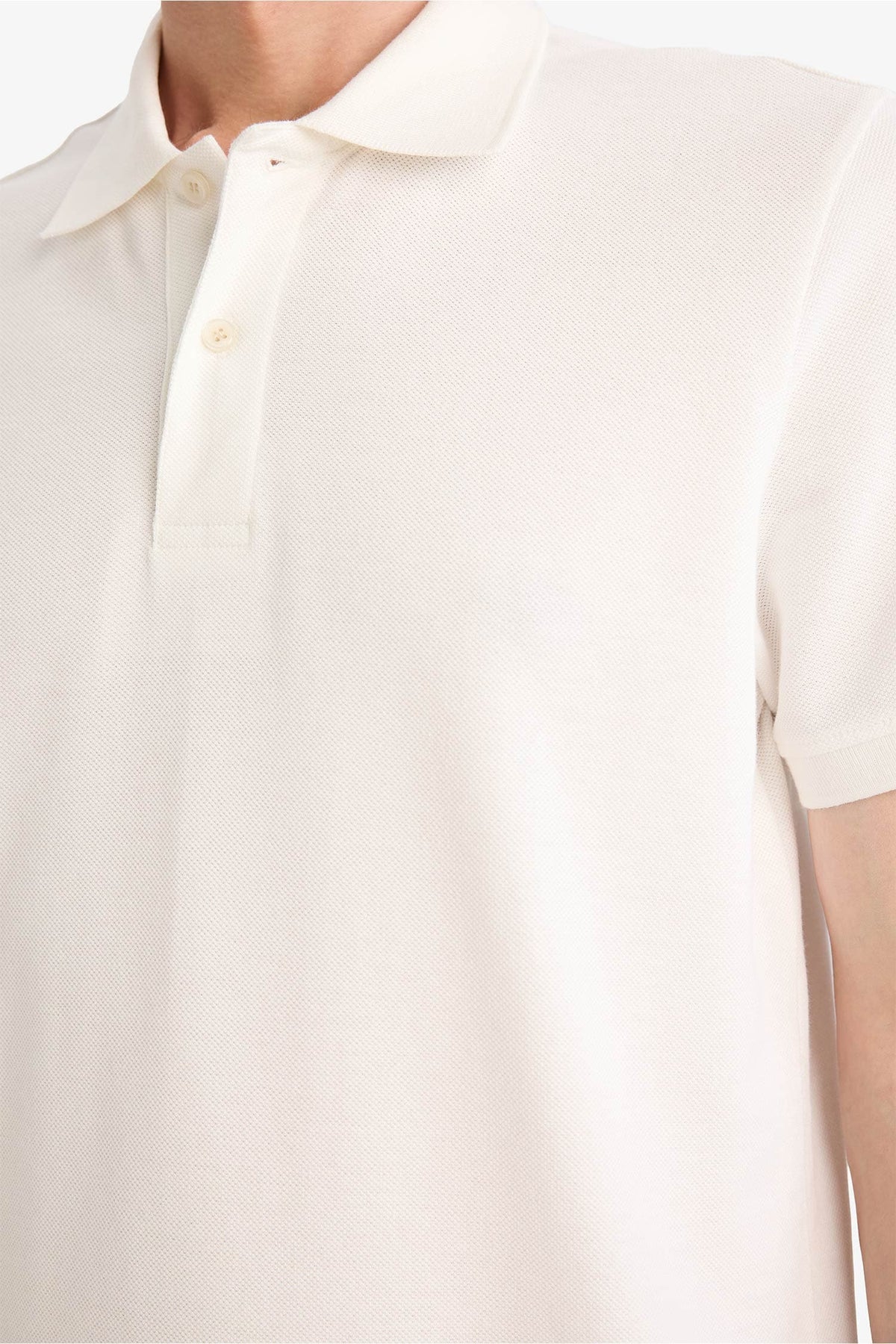 REGULAR FIT 100% Cotton Polo Shirt