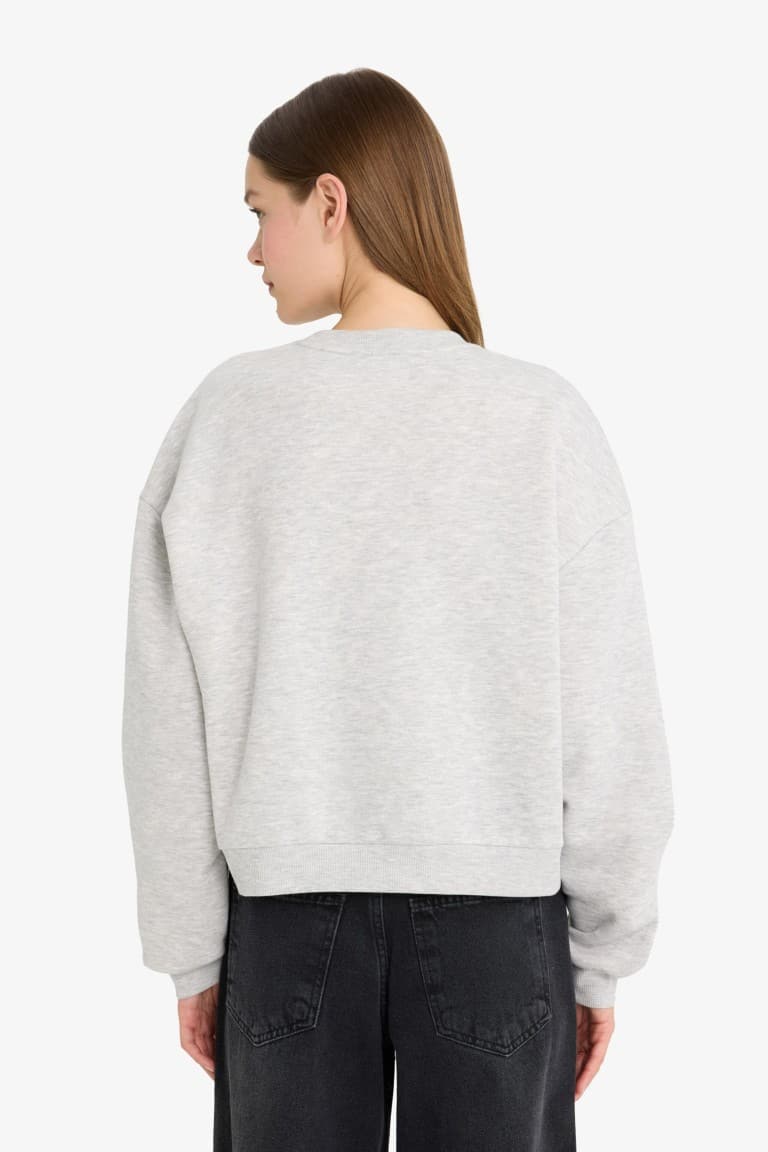Cool PowerPuff Girls Regular Fit Crew Neck Printed Sweater in Heavyweight Fabric