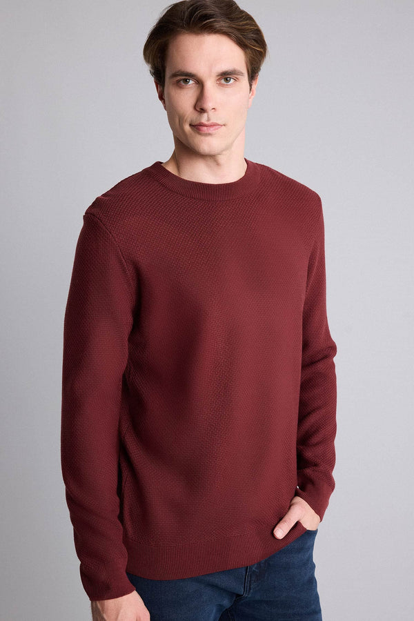 Standard Fit Crew Neck Basic Textured Knitwear Sweater