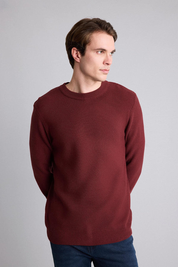 Standard Fit Crew Neck Basic Textured Knitwear Sweater