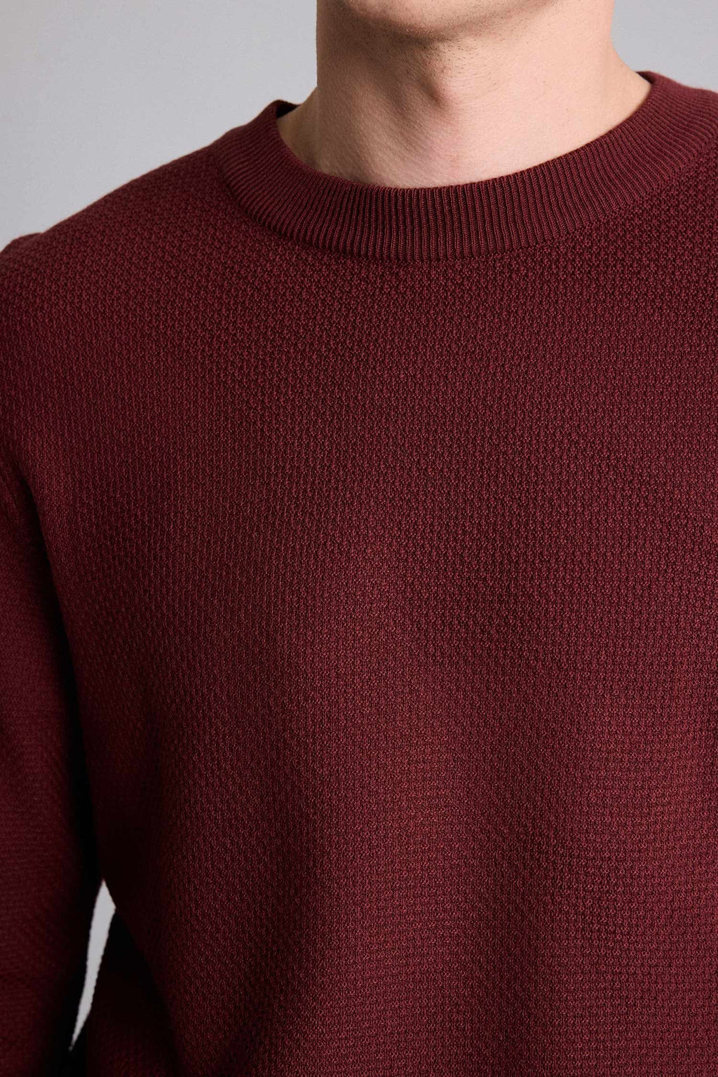 Standard Fit Crew Neck Basic Textured Knitwear Sweater