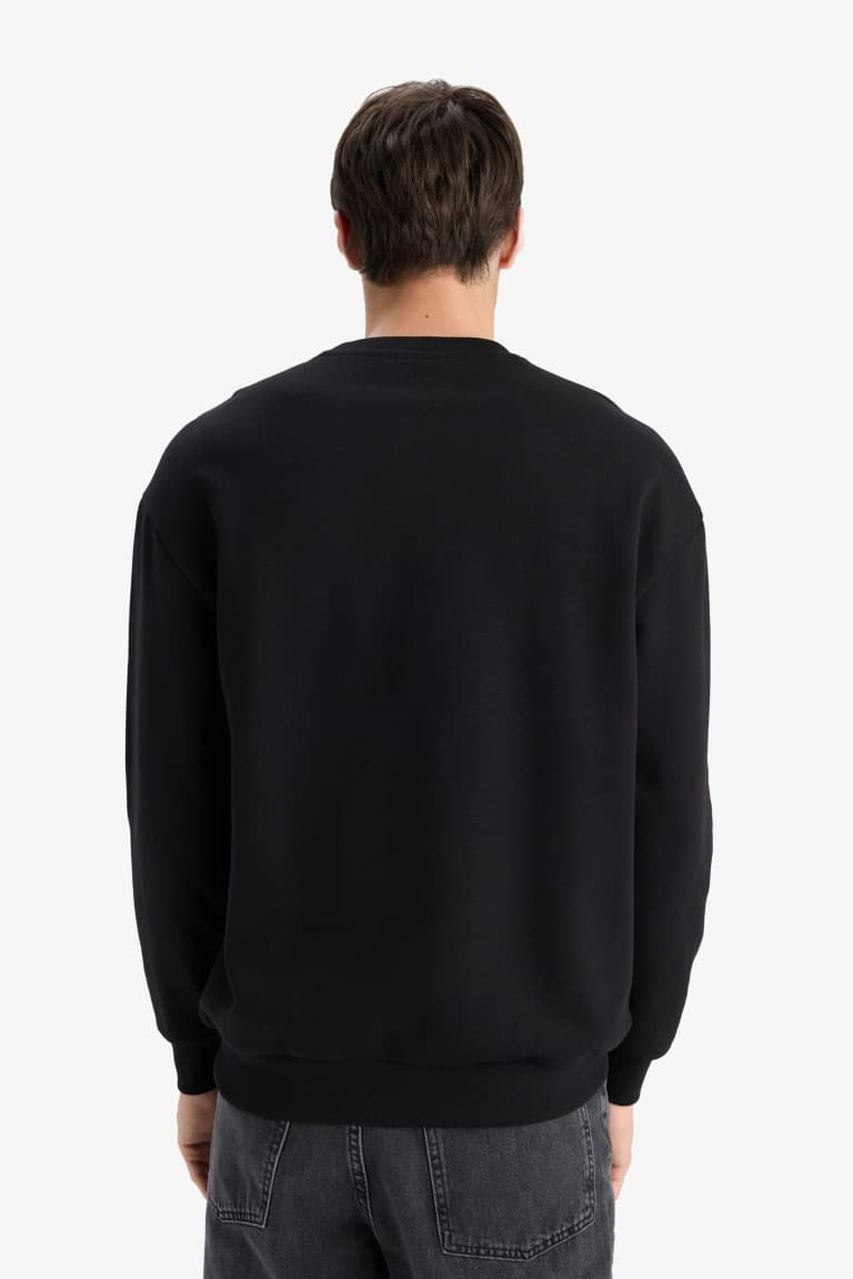 Boxy Fit Printed Crew Neck Sweatshirt