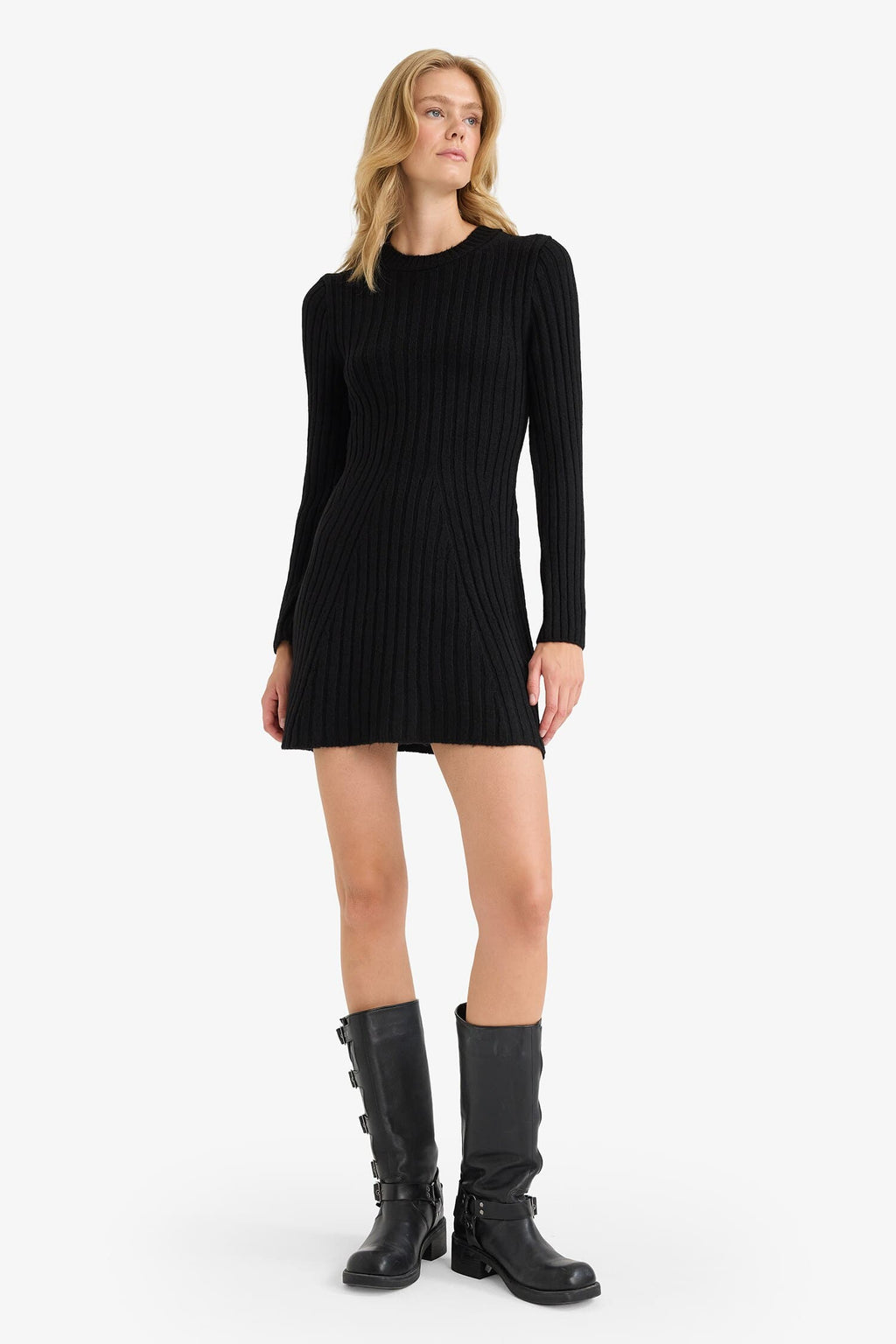 Crew Neck Rib Long Sleeve Mini Dress