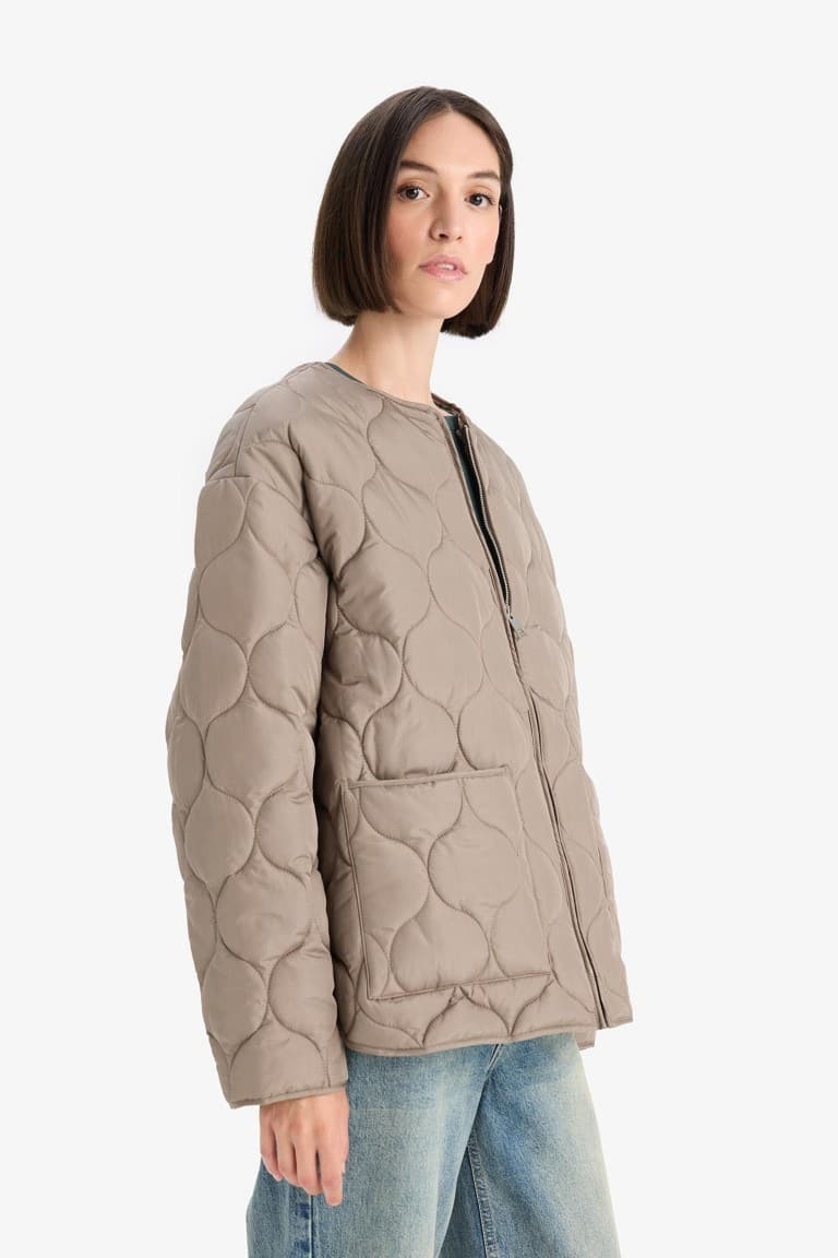 Waterproof Regular Fit Crew Neck Zip-Up Quilted Jacket