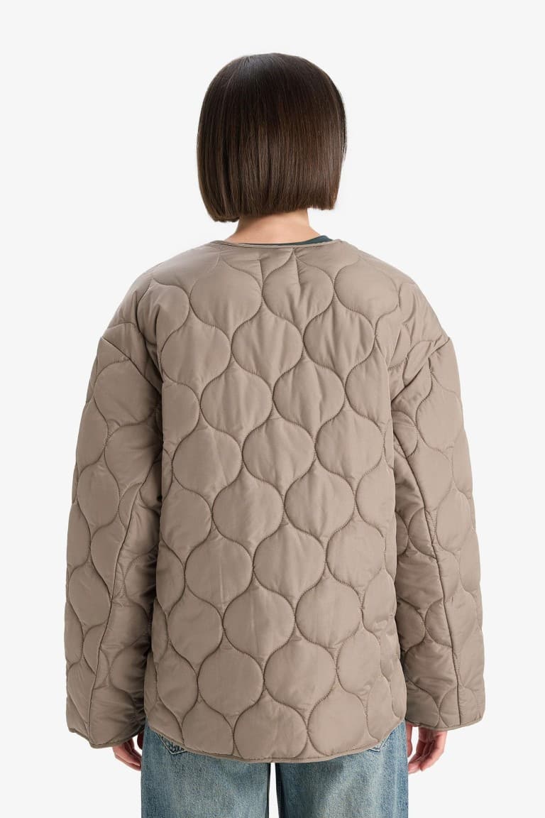 Waterproof Regular Fit Crew Neck Zip-Up Quilted Jacket