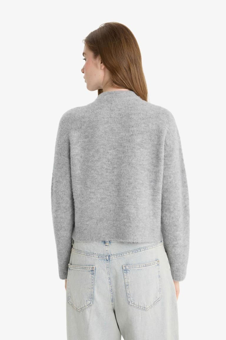 Regular fit Half Turtleneck Knitwear Sweater