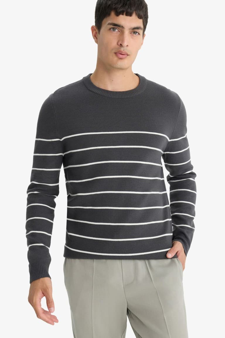 Standard Fit Crew Neck Striped Knit Sweater Main image
