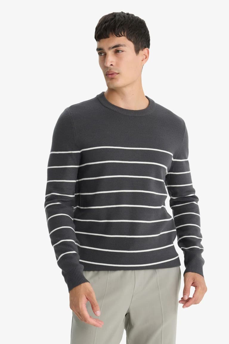 Standard Fit Crew Neck Striped Knit Sweater
