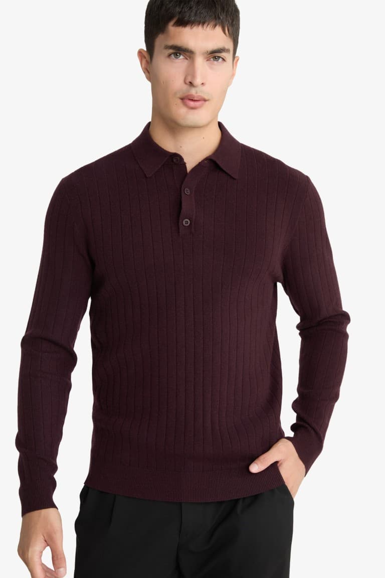 Standard Fit Polo Collar Knit Sweater