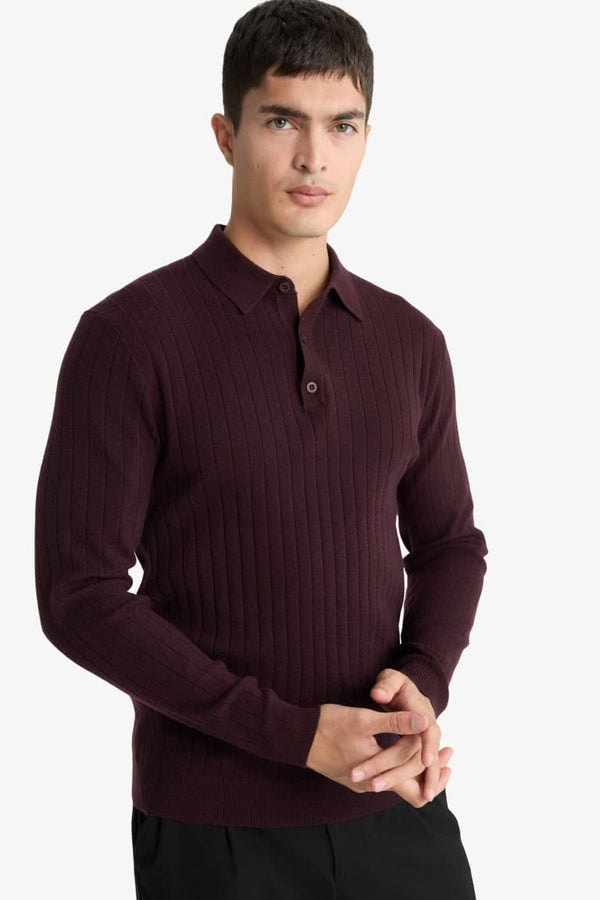 Standard Fit Polo Collar Knit Sweater